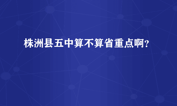 株洲县五中算不算省重点啊？