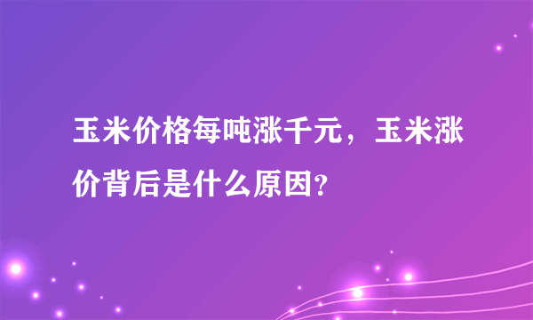 玉米价格每吨涨千元，玉米涨价背后是什么原因？