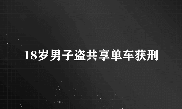 18岁男子盗共享单车获刑