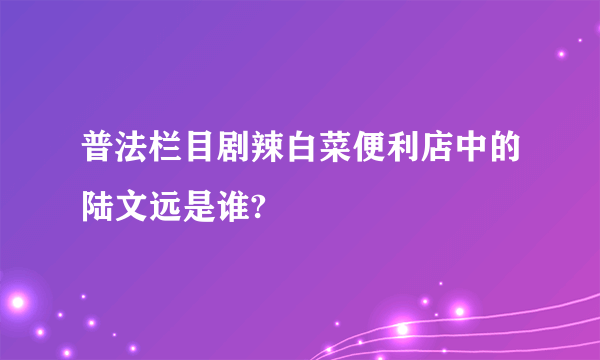 普法栏目剧辣白菜便利店中的陆文远是谁?