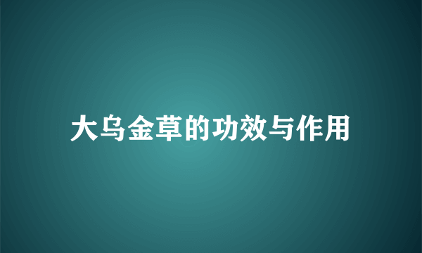 大乌金草的功效与作用