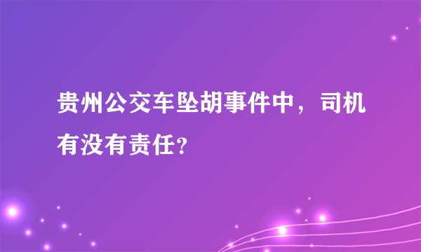 贵州公交车坠胡事件中，司机有没有责任？