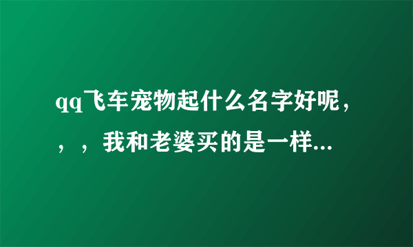 qq飞车宠物起什么名字好呢，，，我和老婆买的是一样的，宠物是丘比特，要情侣的宠物名