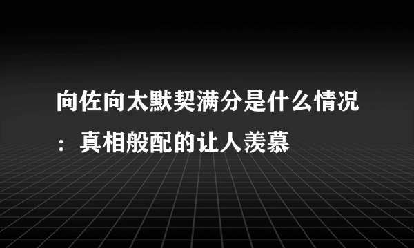 向佐向太默契满分是什么情况：真相般配的让人羡慕