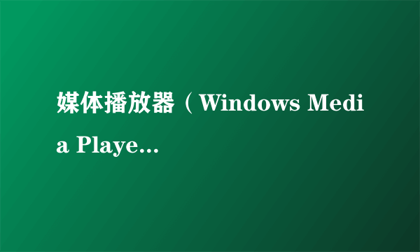 媒体播放器（Windows Media Player)各种参数提问