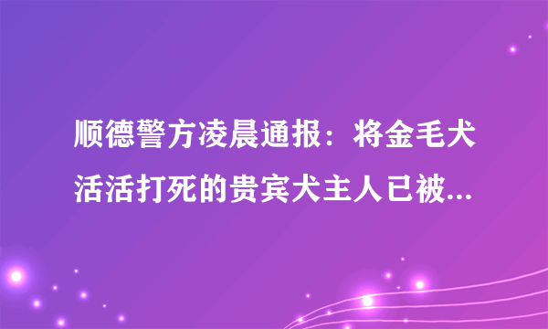 顺德警方凌晨通报：将金毛犬活活打死的贵宾犬主人已被刑拘，你怎么看？