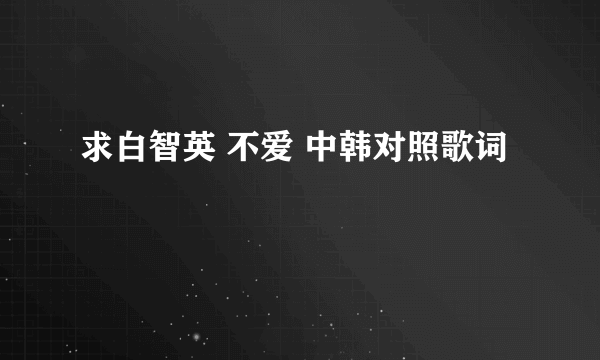 求白智英 不爱 中韩对照歌词