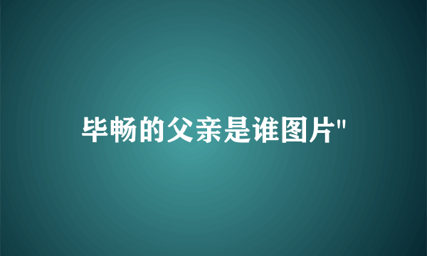 毕畅的父亲是谁图片