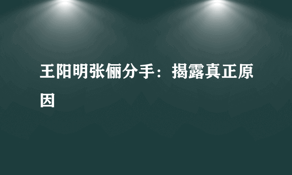 王阳明张俪分手：揭露真正原因