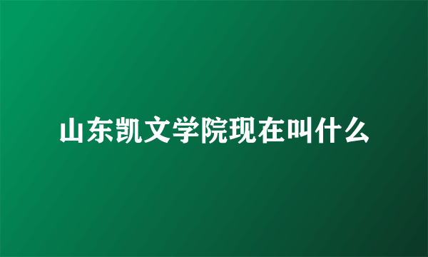 山东凯文学院现在叫什么