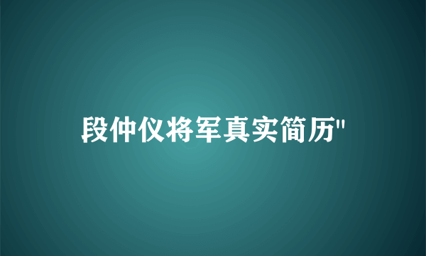 段仲仪将军真实简历