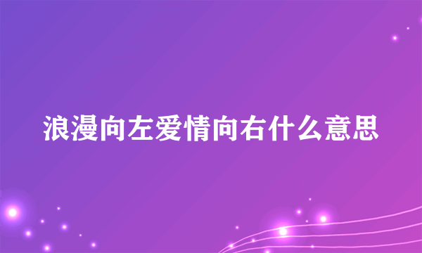 浪漫向左爱情向右什么意思