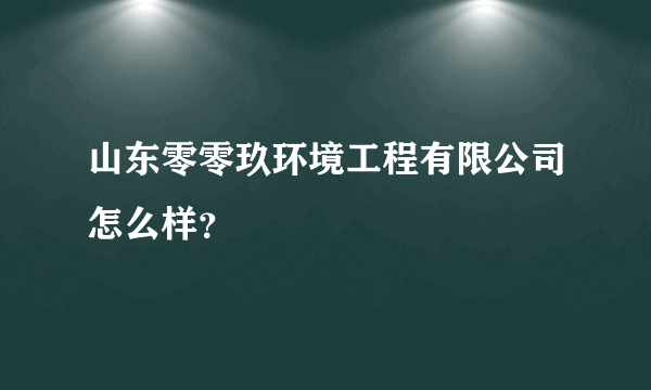 山东零零玖环境工程有限公司怎么样？