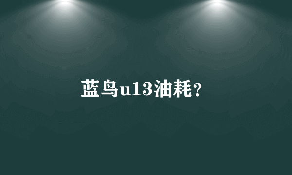 蓝鸟u13油耗？