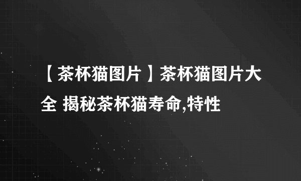 【茶杯猫图片】茶杯猫图片大全 揭秘茶杯猫寿命,特性