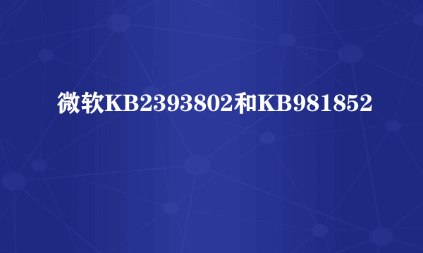 微软KB2393802和KB981852