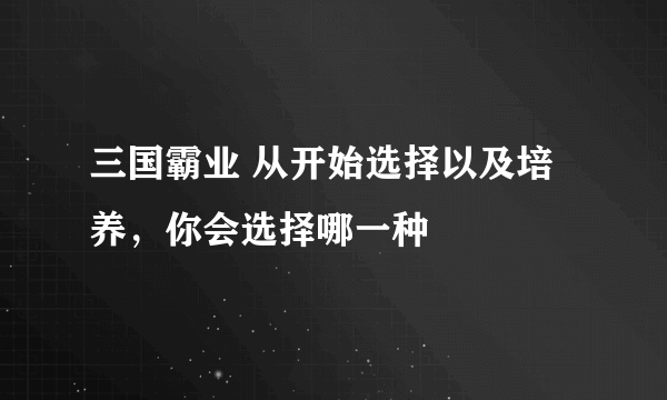 三国霸业 从开始选择以及培养，你会选择哪一种