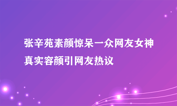 张辛苑素颜惊呆一众网友女神真实容颜引网友热议