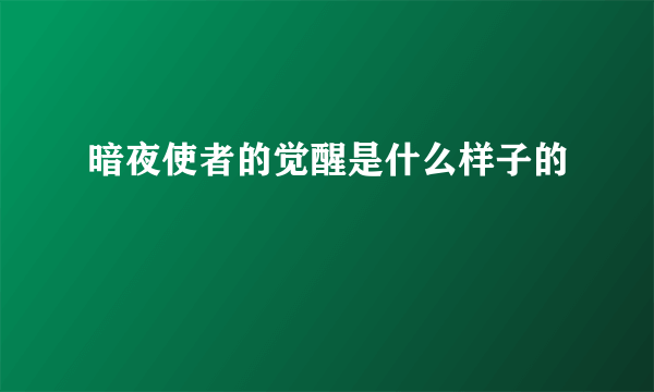 暗夜使者的觉醒是什么样子的