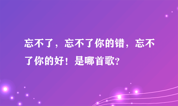 忘不了，忘不了你的错，忘不了你的好！是哪首歌？