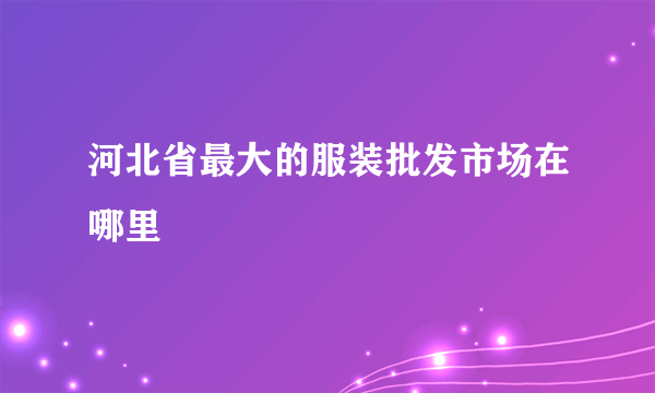 河北省最大的服装批发市场在哪里