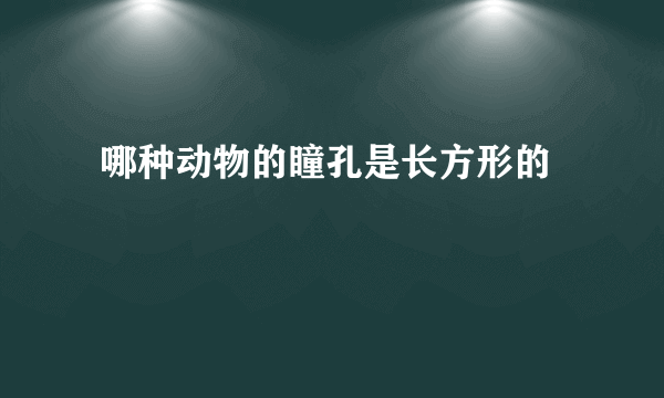  哪种动物的瞳孔是长方形的