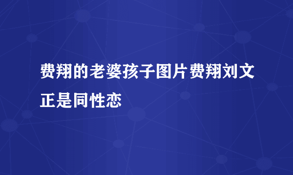 费翔的老婆孩子图片费翔刘文正是同性恋