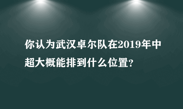 你认为武汉卓尔队在2019年中超大概能排到什么位置？