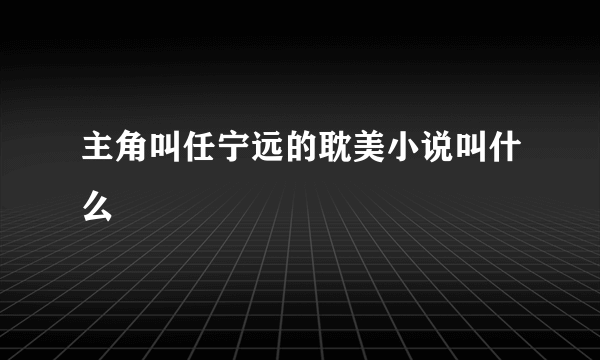 主角叫任宁远的耽美小说叫什么