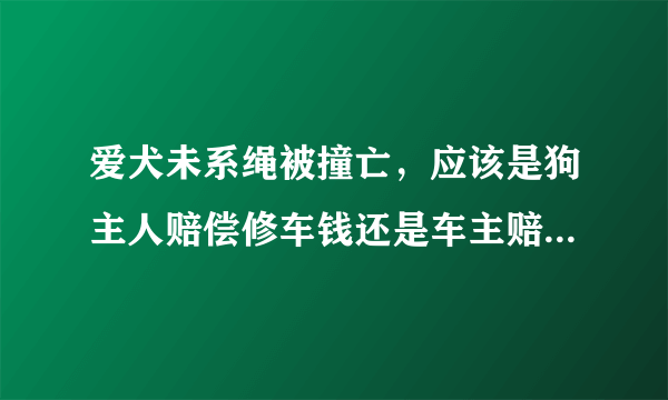 爱犬未系绳被撞亡，应该是狗主人赔偿修车钱还是车主赔偿狗主？