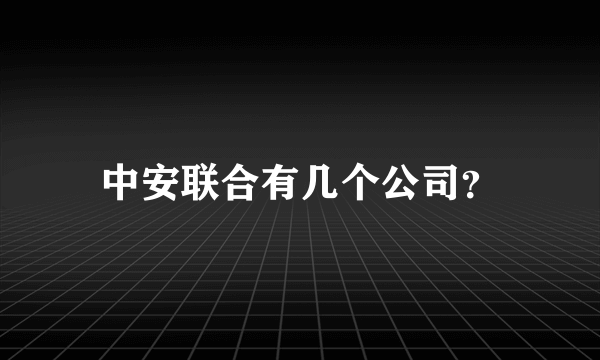 中安联合有几个公司？