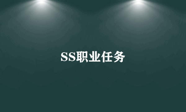 SS职业任务