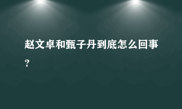 赵文卓和甄子丹到底怎么回事？