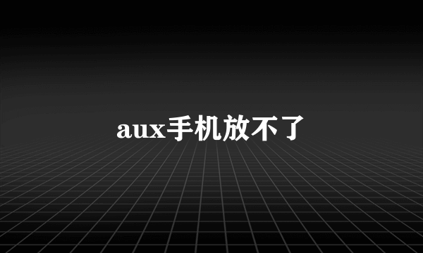 aux手机放不了