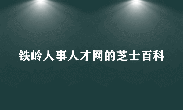 铁岭人事人才网的芝士百科