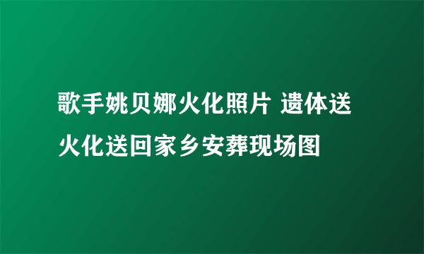 歌手姚贝娜火化照片 遗体送火化送回家乡安葬现场图