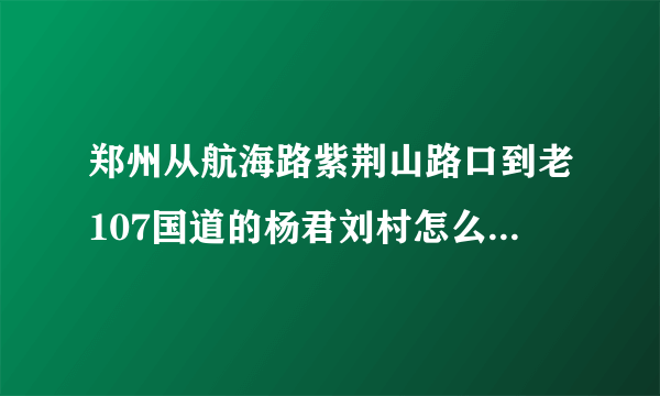 郑州从航海路紫荆山路口到老107国道的杨君刘村怎么坐公交车