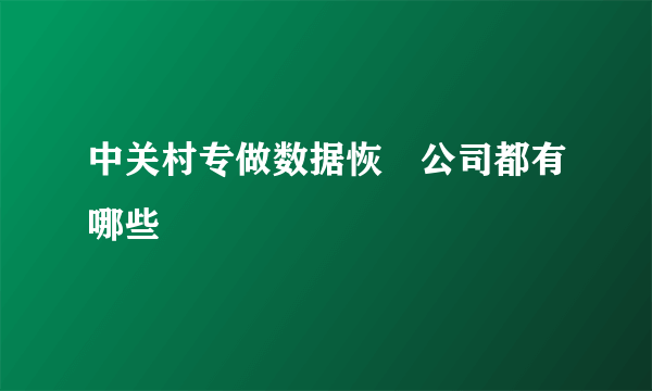 中关村专做数据恢復公司都有哪些