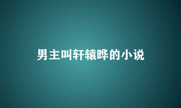 男主叫轩辕晔的小说