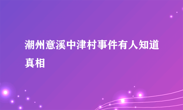 潮州意溪中津村事件有人知道真相