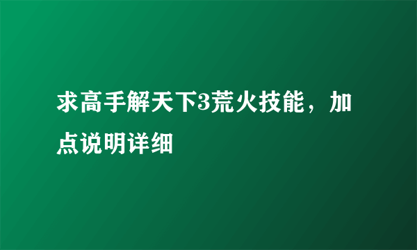 求高手解天下3荒火技能，加点说明详细