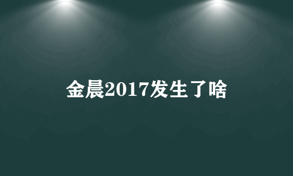 金晨2017发生了啥