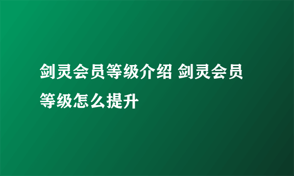 剑灵会员等级介绍 剑灵会员等级怎么提升