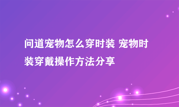 问道宠物怎么穿时装 宠物时装穿戴操作方法分享