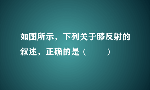 如图所示，下列关于膝反射的叙述，正确的是（　　）