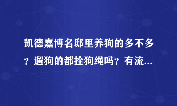 凯德嘉博名邸里养狗的多不多？遛狗的都拴狗绳吗？有流浪宠物吗？