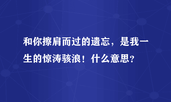 和你擦肩而过的遗忘，是我一生的惊涛骇浪！什么意思？