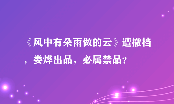 《风中有朵雨做的云》遭撤档，娄烨出品，必属禁品？