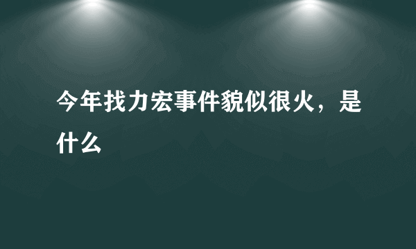 今年找力宏事件貌似很火，是什么