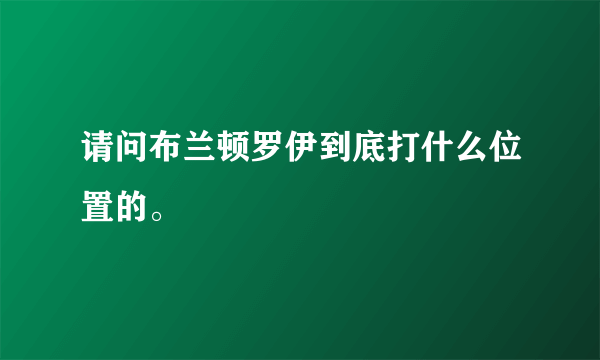 请问布兰顿罗伊到底打什么位置的。